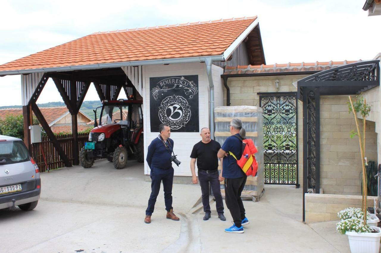 Apartmani Bojeresku Negotin Zewnętrze zdjęcie